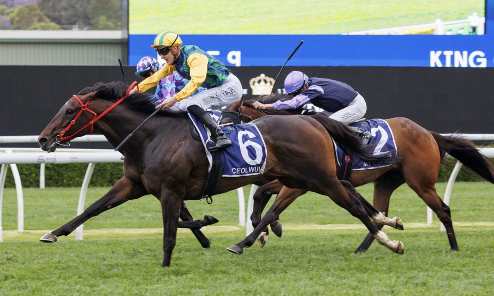 待和压力时 待和压力时