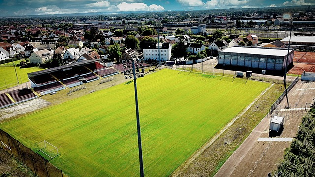 但激烈的竞 但激烈的竞